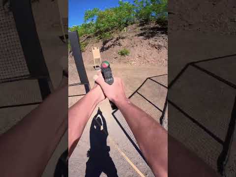 Area 8 championship 2024