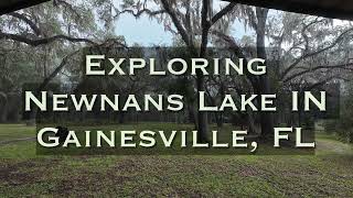 4K Calming Nature Walkthrough | Newnans Lake - Gainesville, FL | #nature #walkthrough #calmingsounds