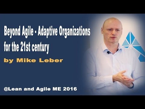 Beyond Agile - Adaptive Organizations for the 21st century by Mike Leber