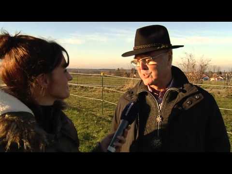 Ortschaft der Woche - Puchheim - "d'Buchhamer" Verein