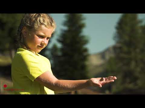 Natur- und Kulturlehrweg Debanttal