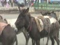 Trek From Ethiopia Part 1
