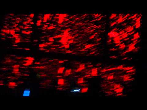 Falling in Love with Brazil