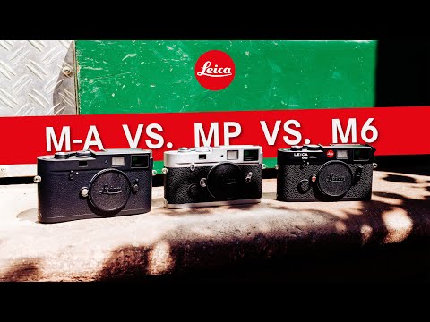 Die beste analoge Leica M Kamera?! I M6 vs. MP vs. M-A