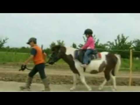 Echitatie la Carmen si Ion Maldea - Ecvestria Varlaam