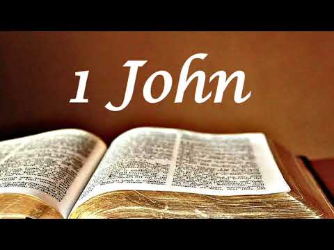BIBLE // 1 JOHN // Audio Bible no music
