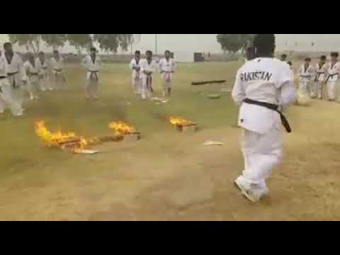 Taekwondo Demonstration Team Delivers an INCREDIBLE Performance -