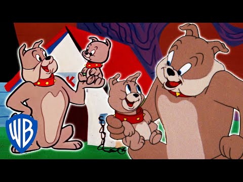 download lagu mp3 mp4 Spike Tom And Jerry, download lagu Spike Tom And Jerry gratis, unduh video klip Spike Tom And Jerry