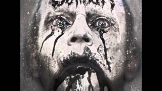 Caliban - Feasting On The Blood Of The Insane (Six Feet Under) [HQ - Disc 2 - 15/20]