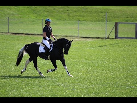 Geländeprüfung Soel´rings Cadeau Noir