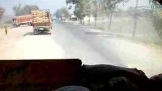 buses of punjab
