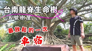 讓我最放鬆的一次車宿 就算待一整天也能放空不無聊 台南龍崎 龍脊生命樹 五號樹屋