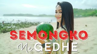 Download lagu Safira Inema - Dj Semongkone Gedhe (ANEKA SAFARI) Tarik Sis Semongko mp3 Download lagu Safira Inema - Dj Semongkone Gedhe (ANEKA SAFARI) Tarik Sis Semongko mp3