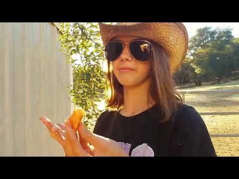 download lagu mp3 mp4 Do Horses Eat Cooking Apples, download lagu Do Horses Eat Cooking Apples gratis, unduh video klip Do Horses Eat Cooking Apples