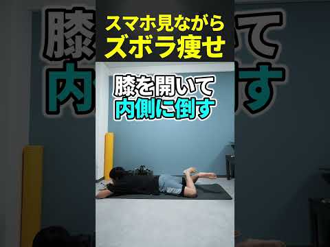 園芸 大輪のダイエット、南アフリカ産アイリス