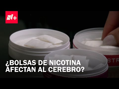 Expertos advierten sobre riesgos del consumo de bolsas de nicotina - Despierta