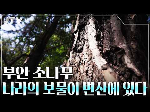 전북의 발견
