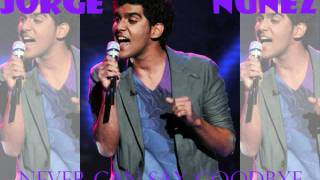 Jorge Nunez-Never Can Say Goodbye (Kid Voice)