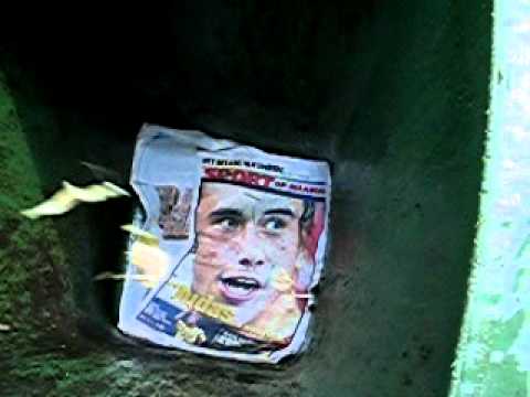 Waar Steven Defour  thuis hoort