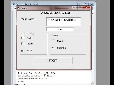 Learn Visual Basic 6.0- Frame Control,Check Box and Option Buttons in vb - Step by Step Tutorial Video