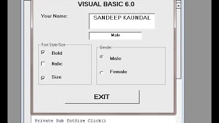 Download the video "Learn Visual Basic 6.0- Frame Control,Check Box and Option Buttons in vb - Step by Step Tutorial"