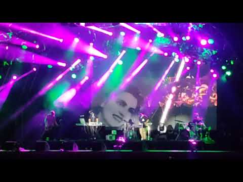 Stereossauro - Barco Negro