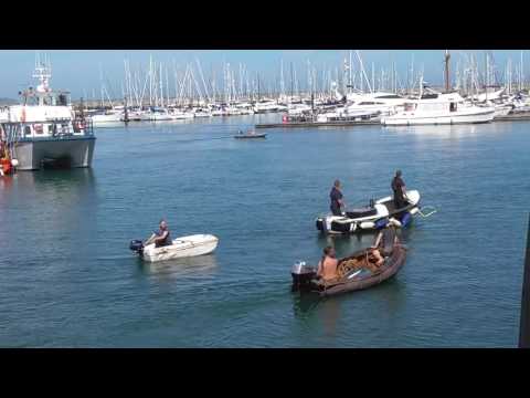 Brixham Harbour Dolphin Strandings 23/08/2016  - Video3 of 8