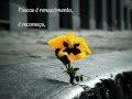 Feliz Páscoa (linda Mensagem De Páscoa Para Compartilhar)