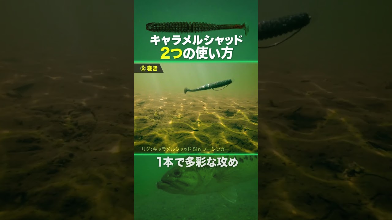 キャラメルシャッドの使い方 #issei #バス釣り