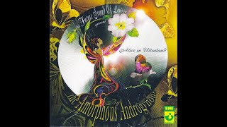 THE AMORPHOUS ANDROGYNOUS – Alice In Ultraland (2005) FULL ALBUM - Psychedelic Rock, Prog Rock