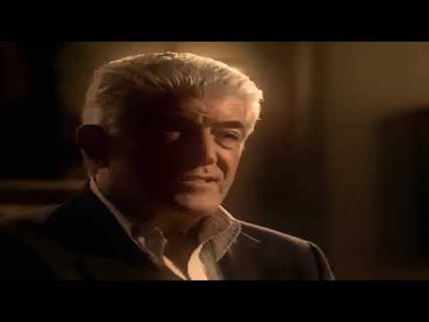 20 years in the tissue