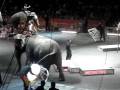 Ringling Bros Circus
