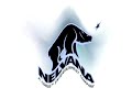 Nelvana Logo Effects Sponsored By Preview 2 The Debbies Effects