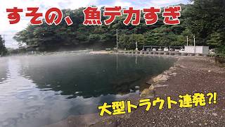 【すそのフィッシングパーク】初場所で魚デカすぎ！ルアーローテーションで大型ニジマスを攻略！