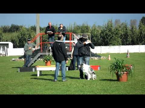 Limburgs kampioenschap 2012 (DTC Tongeren) plaatske