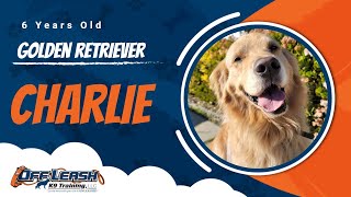 Download Lagu Best Golden Retriever Dog Training | Santa Maria, CA | Charlie Thumbnail