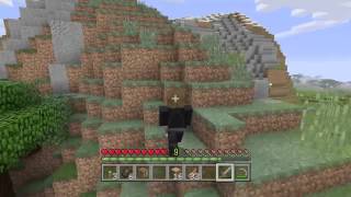 王様とサエルのマインクラフト！ ＃6