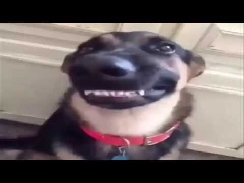 Mutluhan İle Videolar-Kanal Tanıtımı