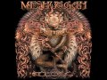 Meshuggah - Demiurge