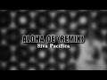 Aloha Oe Remix