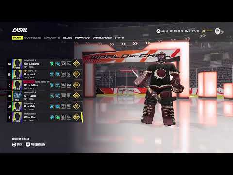 VGHL Arizona Coyotes