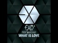 [mp3 DL Link] EXO-K - What is Love (KOREAN Ver ...