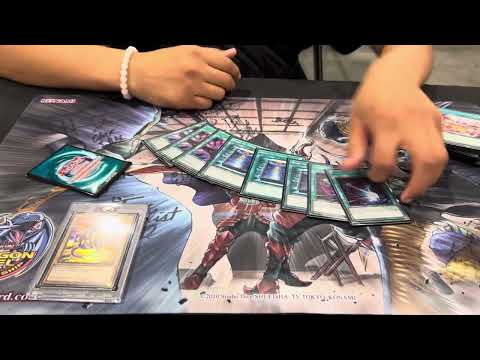 Yu-Gi-Oh! NAWCQ 6th Place Dragon Duel Purrely Deck Profile | Daviyon Wasson