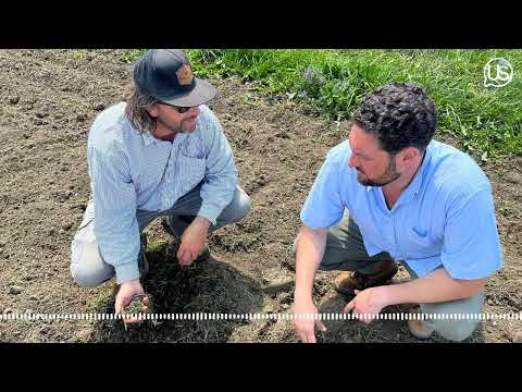 Oberlin Food Hub brings fresh produce to Ohio's food banks while supporting local farmers