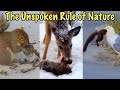 The One Rule Of Nature School Never Taught You