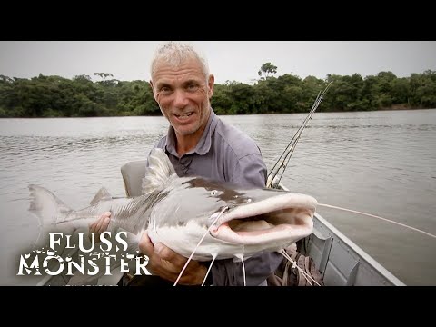 Killer-Wels: Der ultimative Süßwasser-Horror | S1 E05 | Fluss Monster