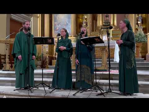 Tota Pulchra es Maria - HARPA DEI