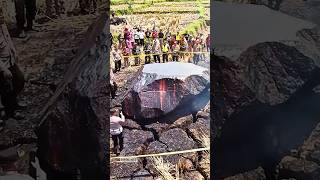 Download lagu Examining the meteorite that fell in the city of Cirebon, West Java #meteor #latestevents #shortv... mp3