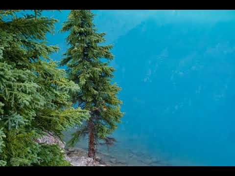 Dancaless feat. Katinda - Easy (PYM Remix)