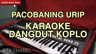 Download lagu Pacobaning Urip - KARAOKE DANGDUT KOPLO mp3 Download lagu Pacobaning Urip - KARAOKE DANGDUT KOPLO mp3